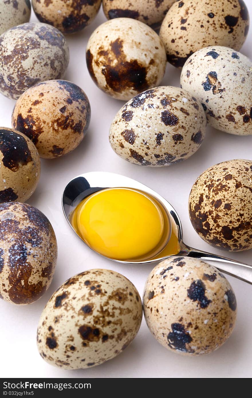 Quail eggs close-up on light background. Quail eggs close-up on light background.