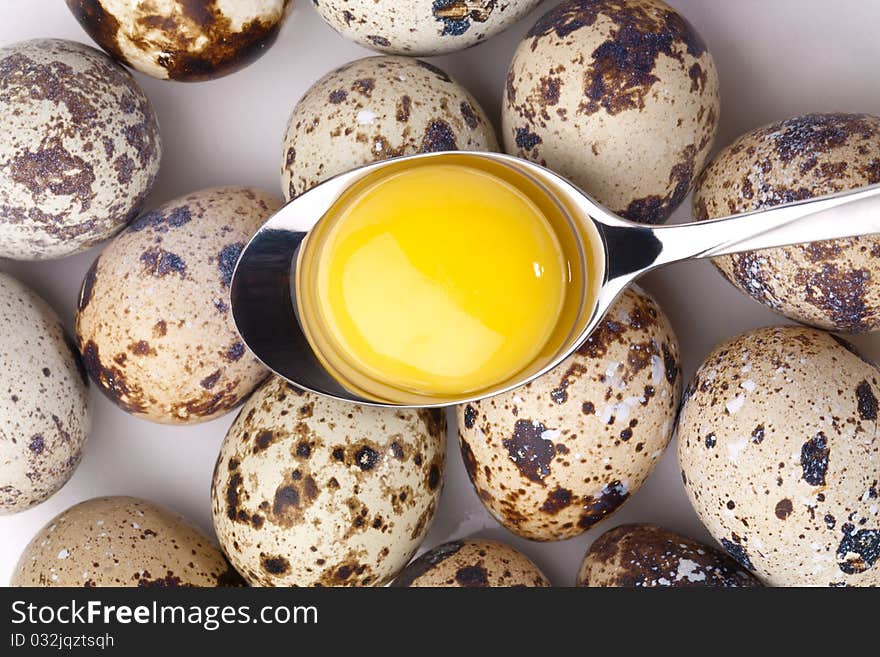 Quail eggs close-up on light background. Quail eggs close-up on light background.