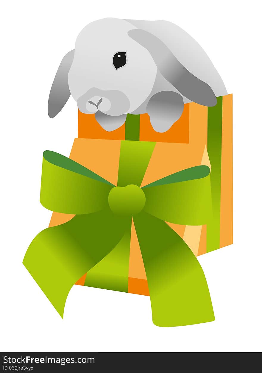 Rabbit and gift on white background