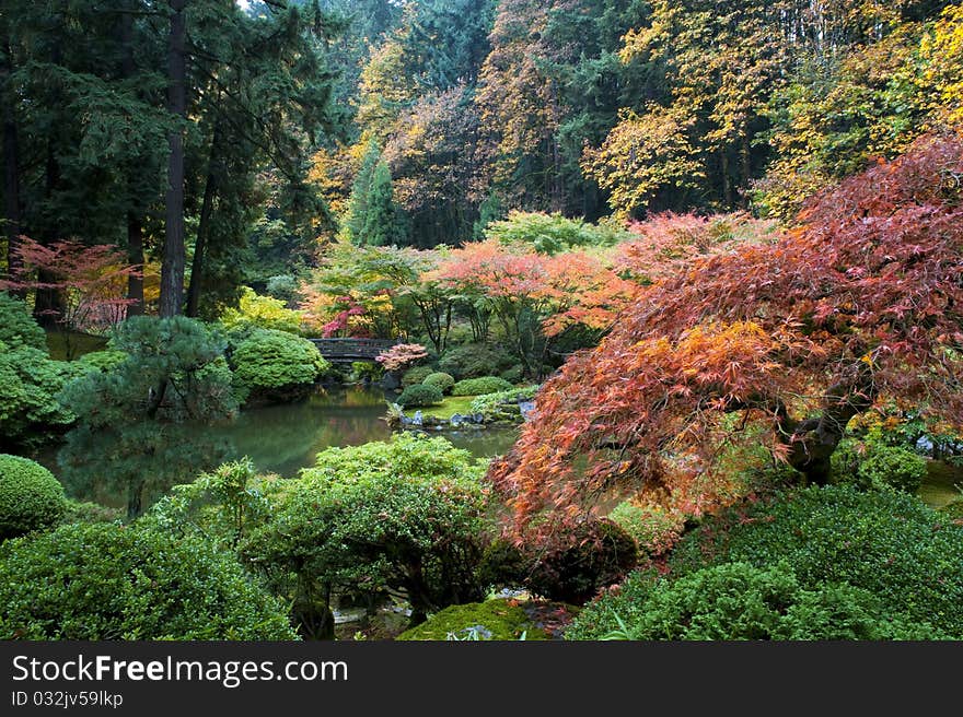 Wooden bridge, Japanese Garden