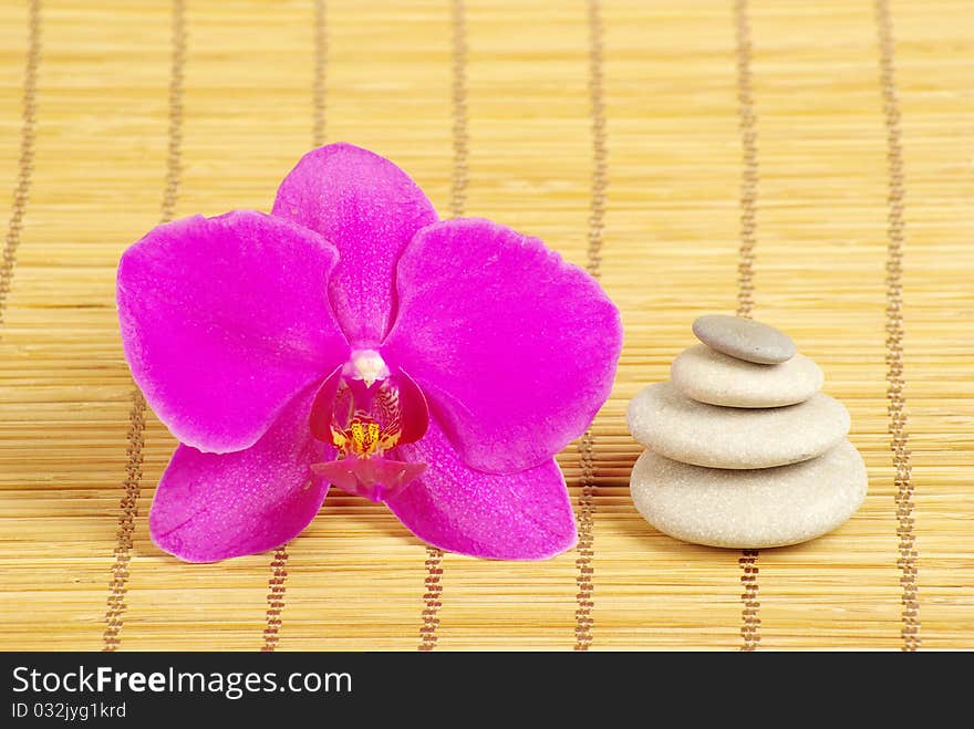 Pink orchid and stones on the wood background