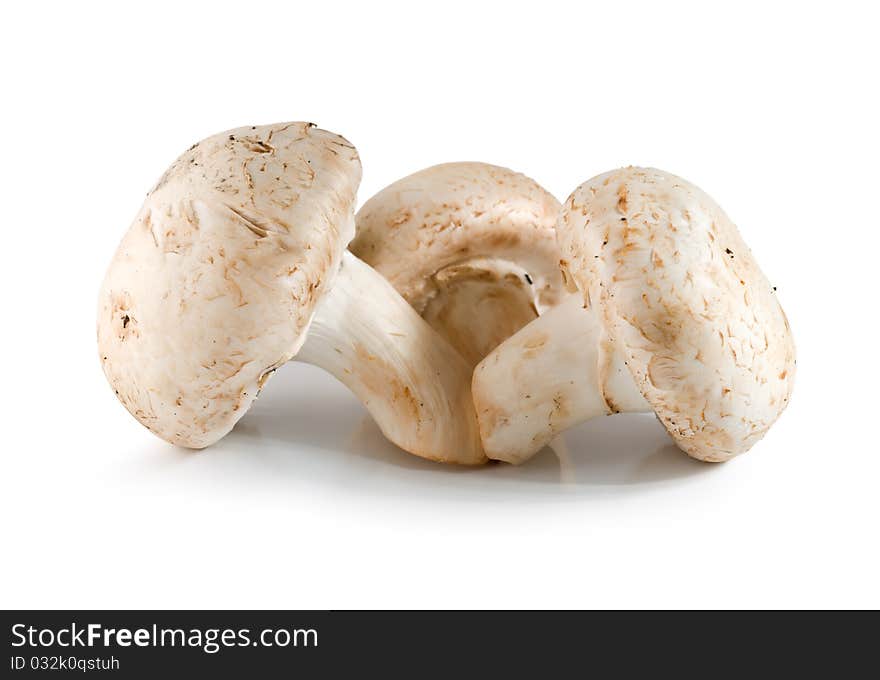 Three champignons mushroom isolated on a white. Three champignons mushroom isolated on a white