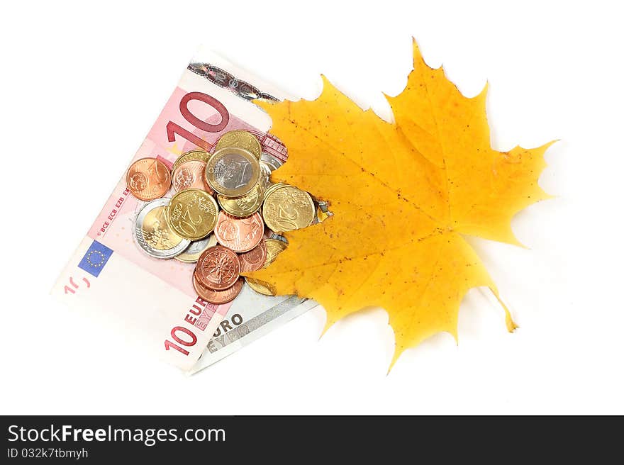 Euro money and yellow leaves