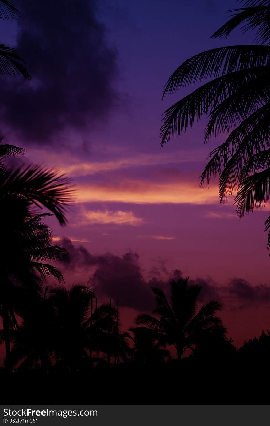 Palmtrees  silhouette on sunrise in tropic