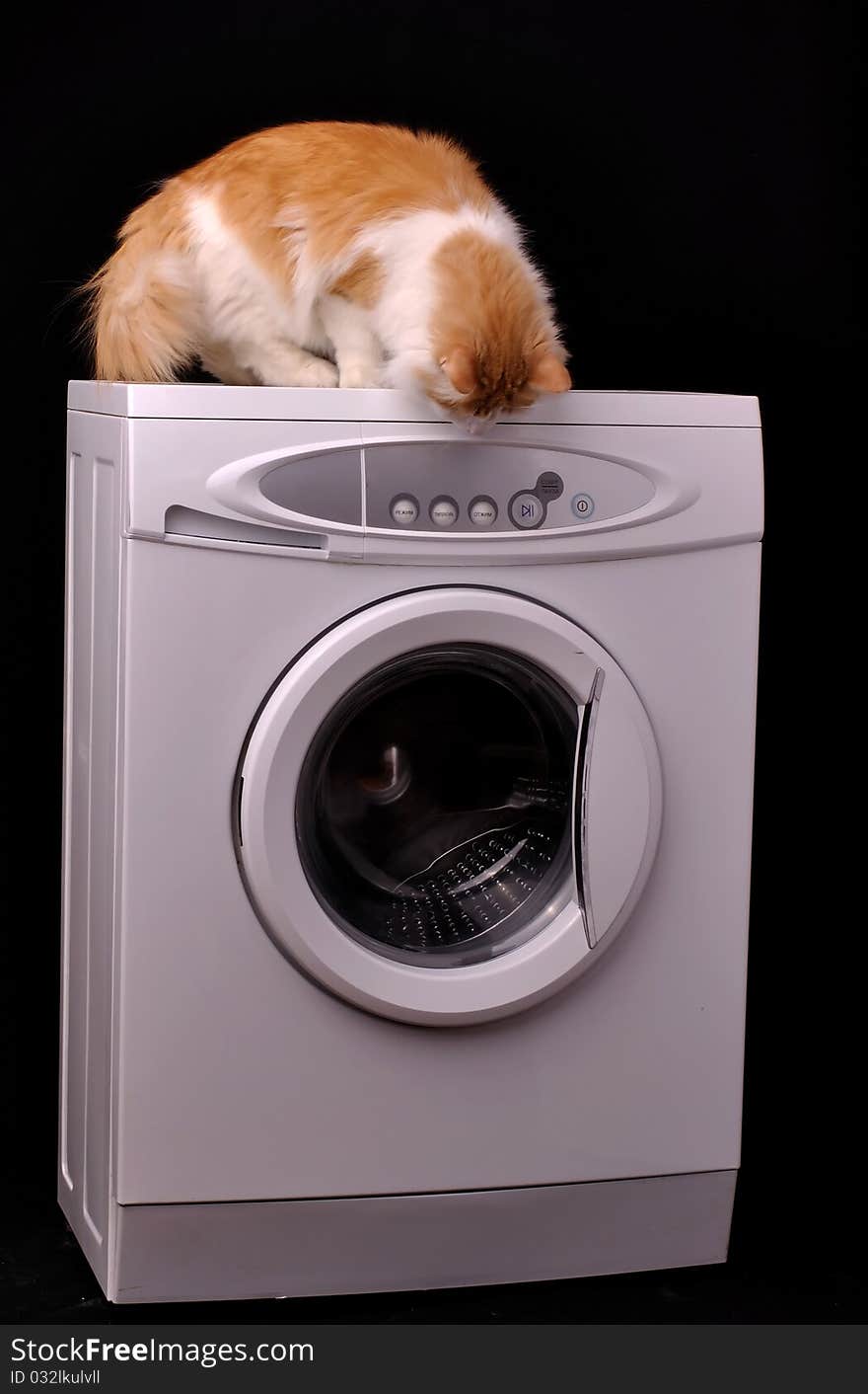 Cat standing on a washing machine and looking with interest. Cat standing on a washing machine and looking with interest