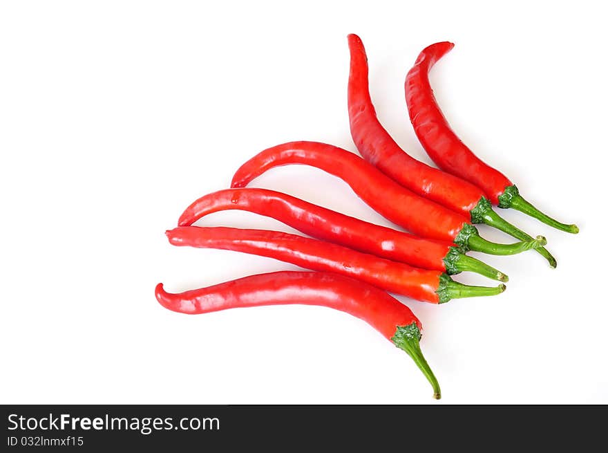 Red hot chilies isolated on white. Red hot chilies isolated on white