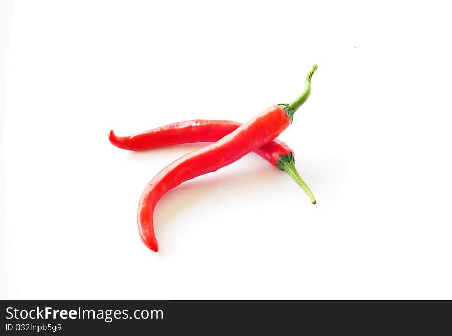 Two red chilies on white background. Two red chilies on white background