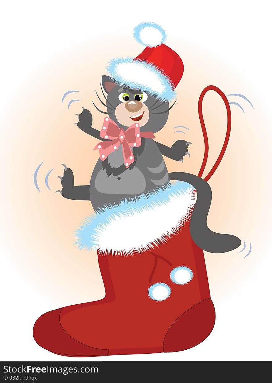 Grey cat in the Santa shoe