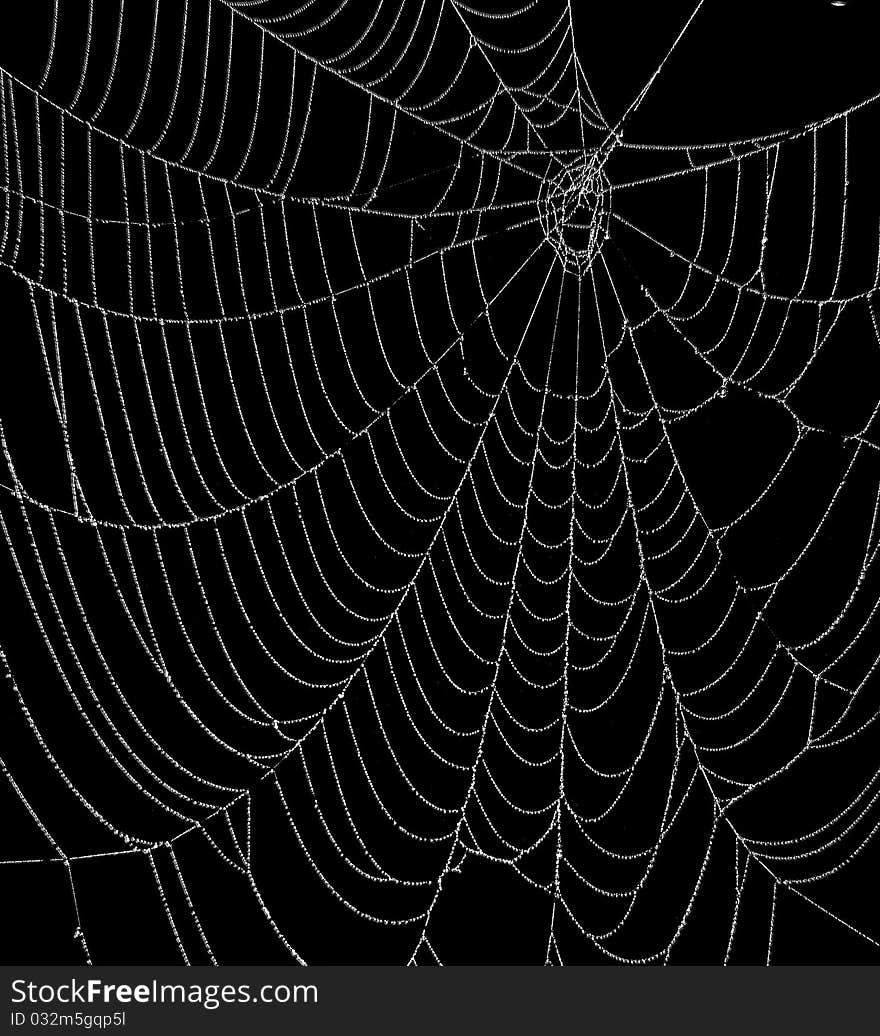 The image of web under the dark background