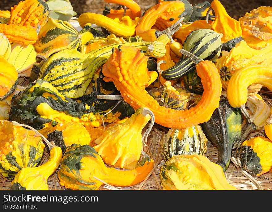 Gourds