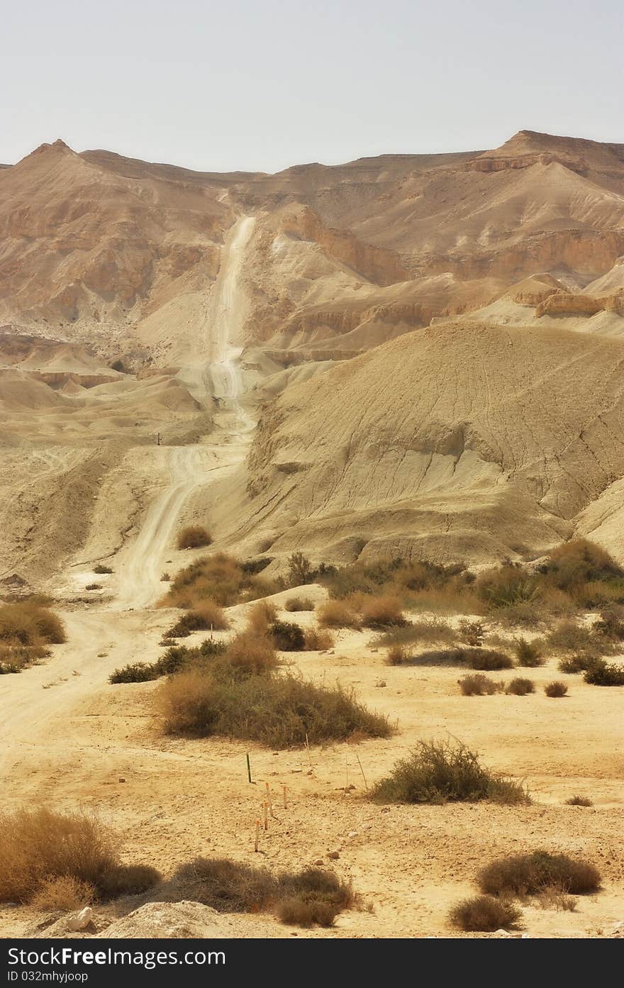 An image of a desert trail in the Negev Desert, Israel