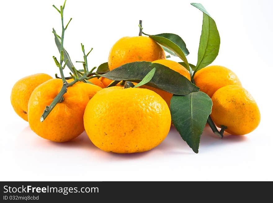 The oranges in white background