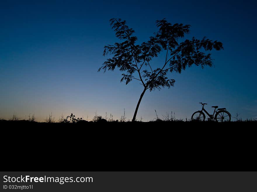 Silhouette tree and bicycle landscapes