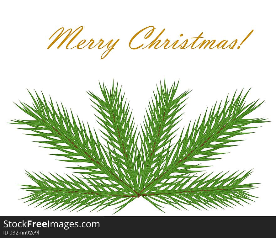 Christmas fir branch on greeting card