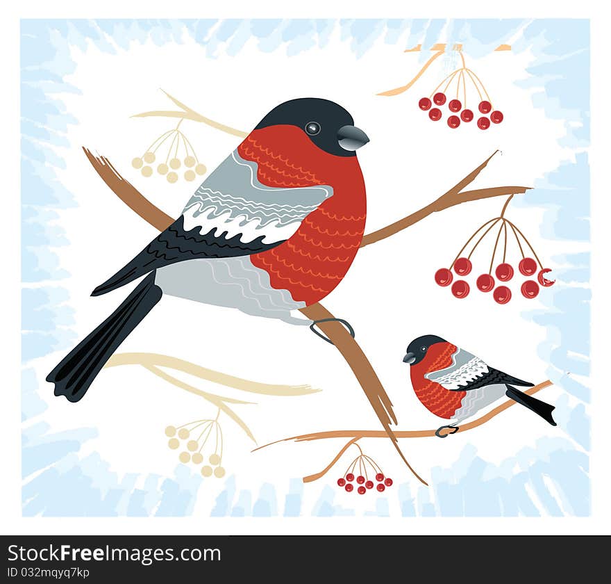 Vector bullfinches on branches in winter .New year card holiday. Vector bullfinches on branches in winter .New year card holiday