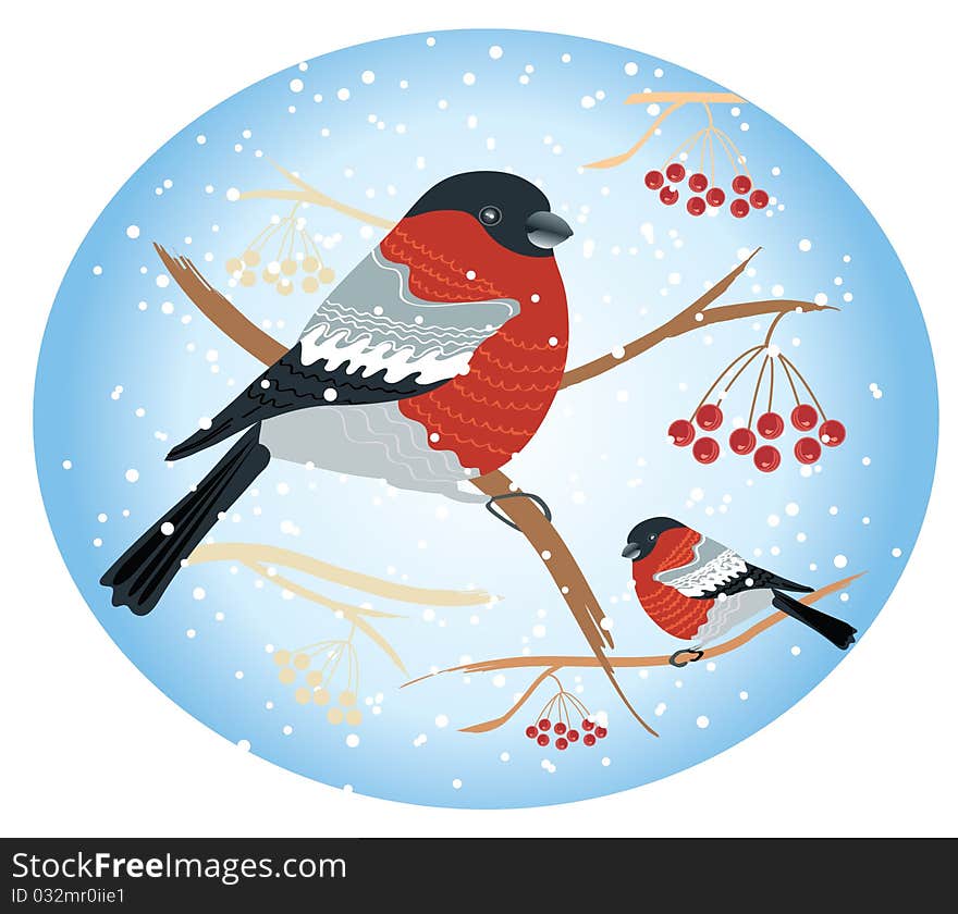 Vector bullfinches on branches in winter .New year card holiday. Vector bullfinches on branches in winter .New year card holiday