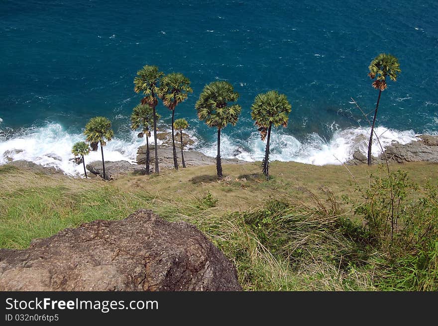 Surf and palm trees on the island of Phuket in Thailand. Surf and palm trees on the island of Phuket in Thailand