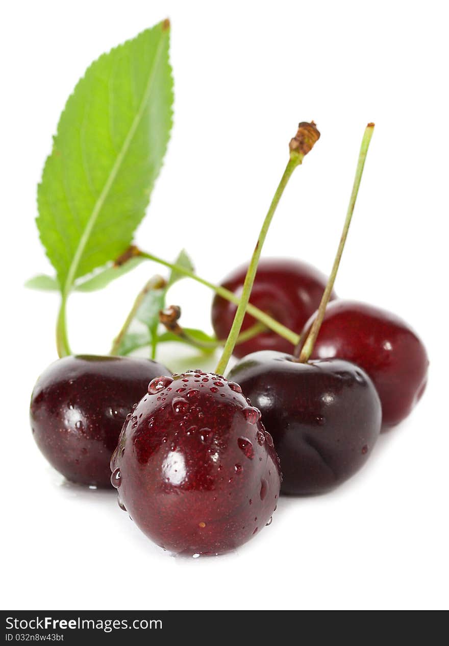 Sweet cherries with leaves