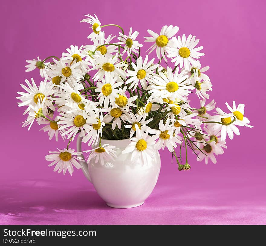 Bouquet of camomile flowers in a jar. Bouquet of camomile flowers in a jar