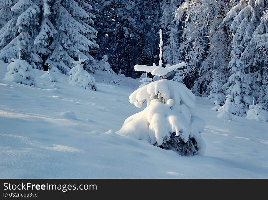 Winter landscape in mountains