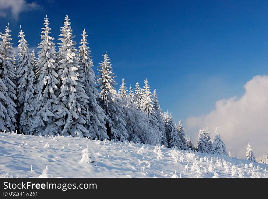 Winter landscape in mountains