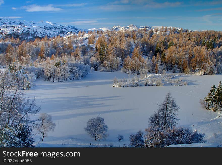 Tarn Hows in Winter 1