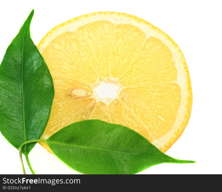 Lemon ripe fruit on a white background