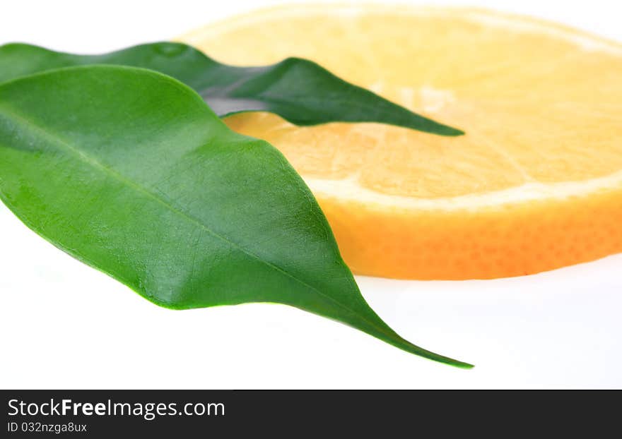 Lemon ripe fruit on a white background