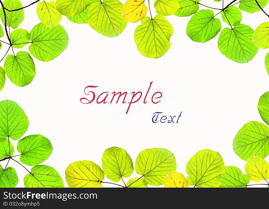 Green leave frame isolated on white background