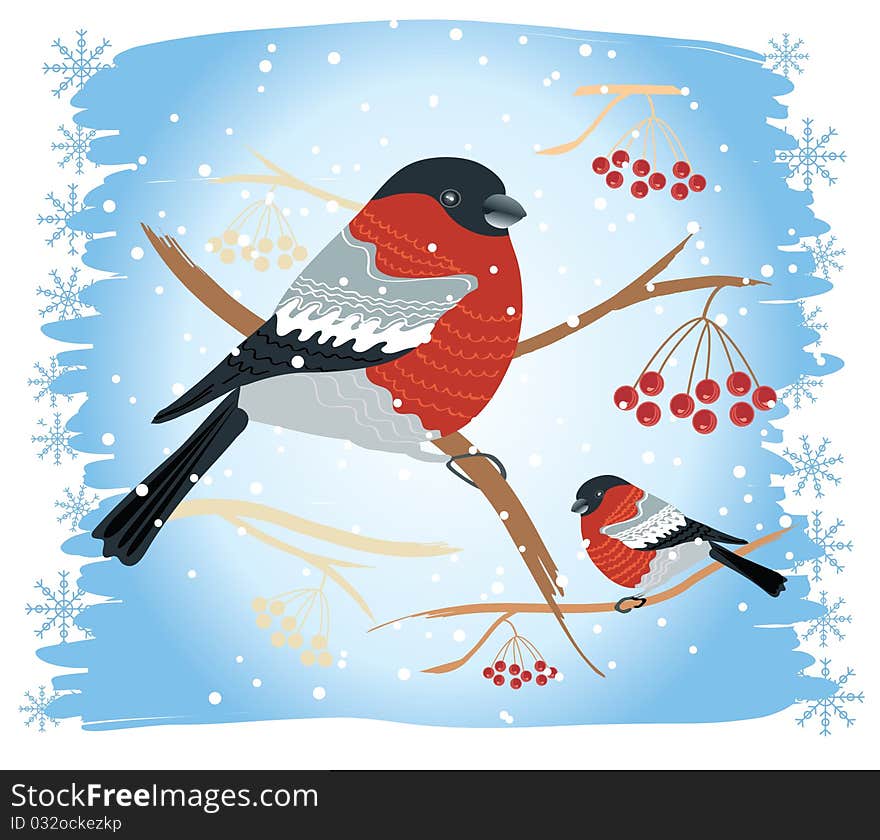 Vector bullfinches on branches in winter .New year card holiday. Vector bullfinches on branches in winter .New year card holiday