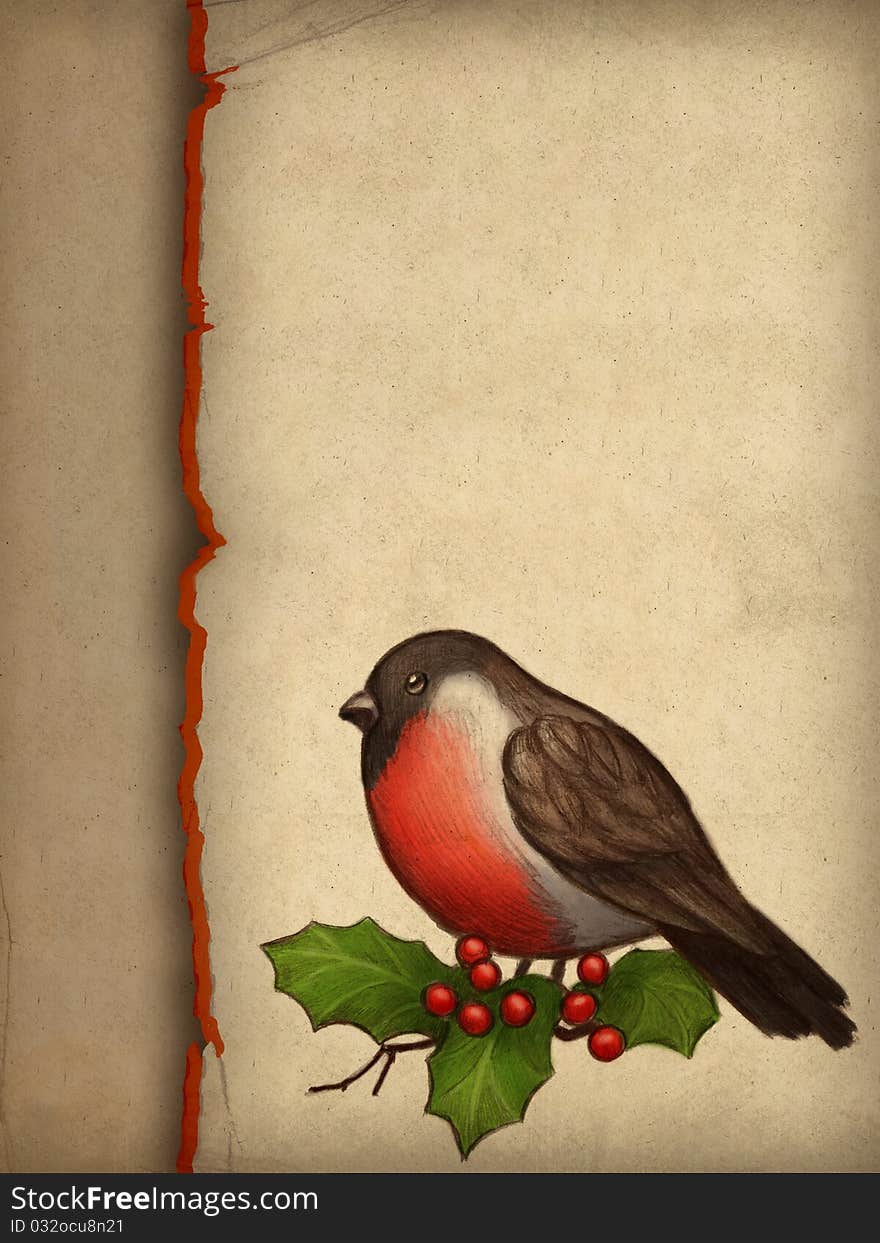 Christmas greeting card with drawing of bullfinch and holly