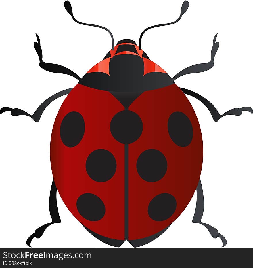 Vector ladybug, red, natural and wild