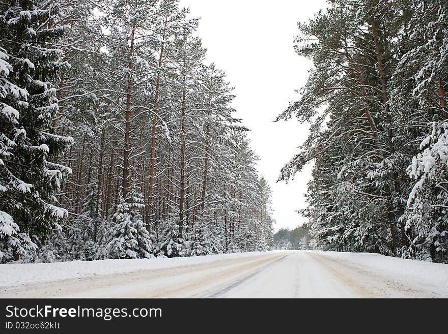 Winter country road in snow