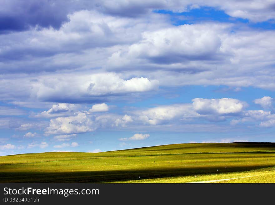 The beautiful field,landscape of grassland