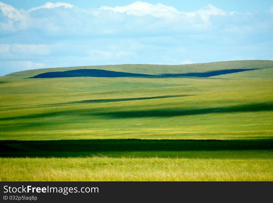 The grassland is up-and-down inner mongolia