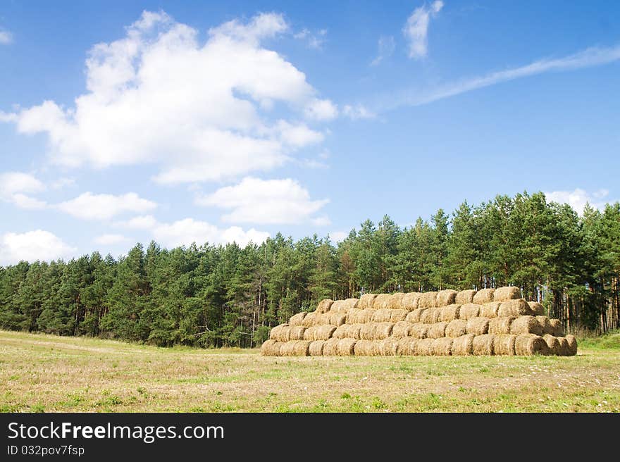 Wheat Haystacks