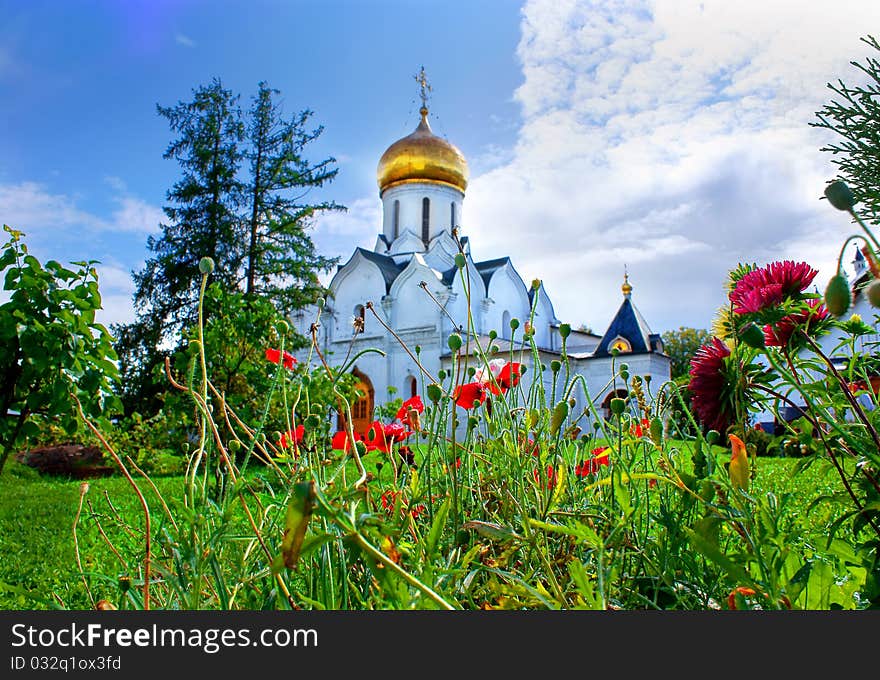 Flowers growing in a garden at church