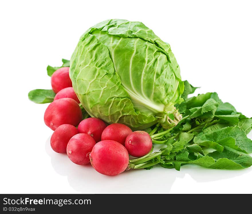 Cabbage and garden radish isolated on white background