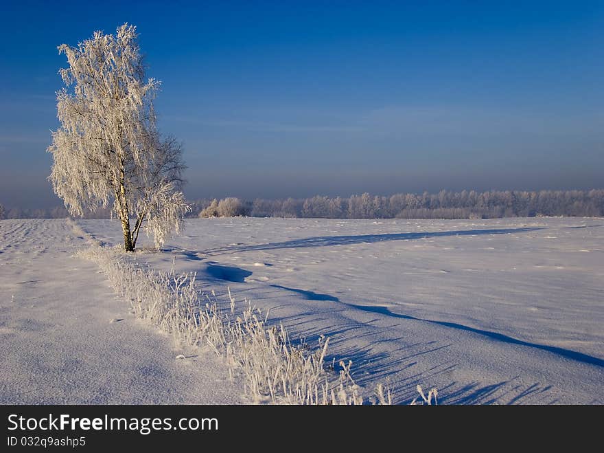 Winter scenery