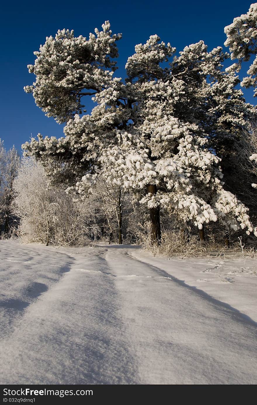 Winter scenery