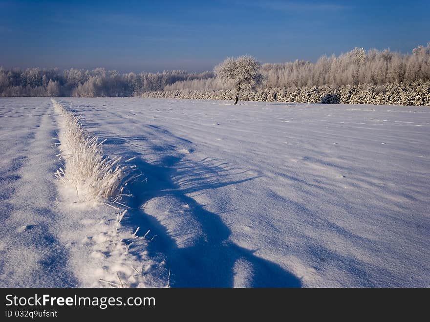 Winter scenery