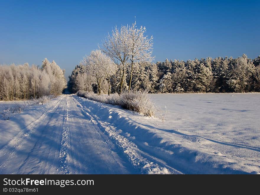 Winter scenery