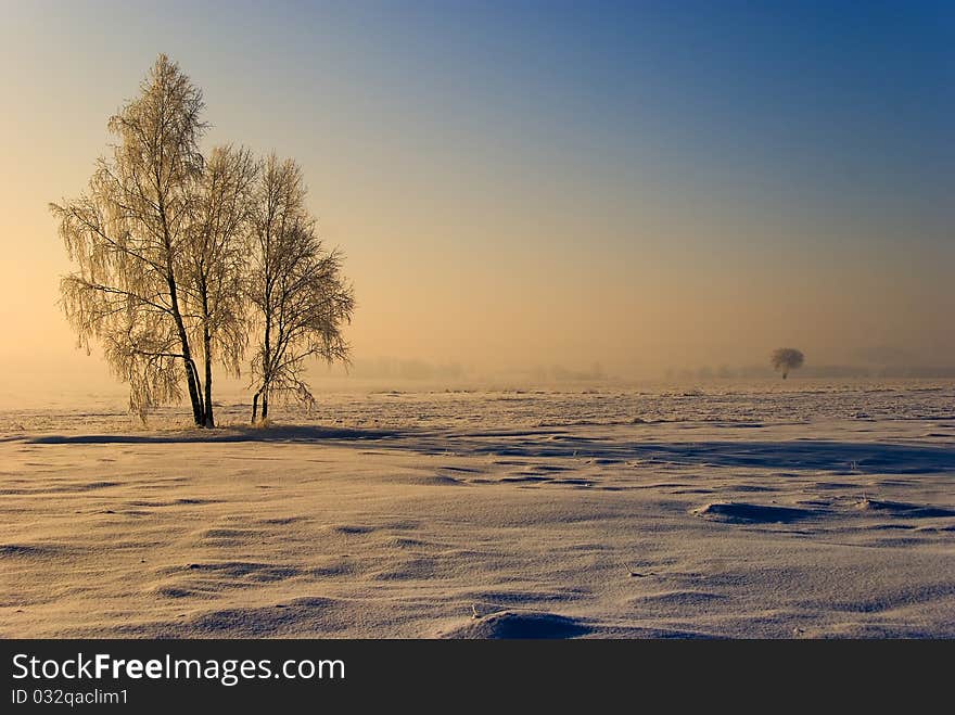 Winter scenery