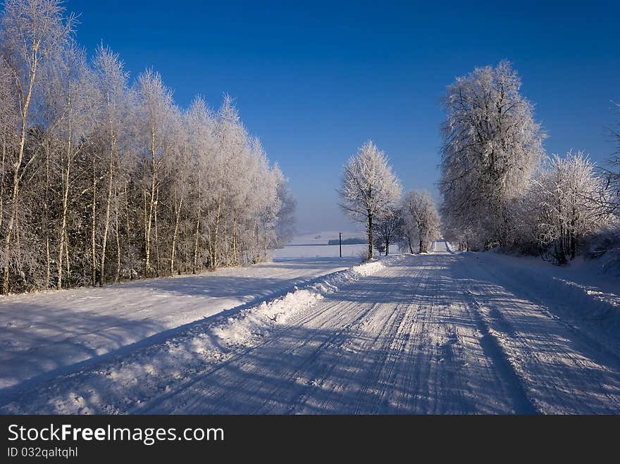 Solar winter landscape with the road. Solar winter landscape with the road