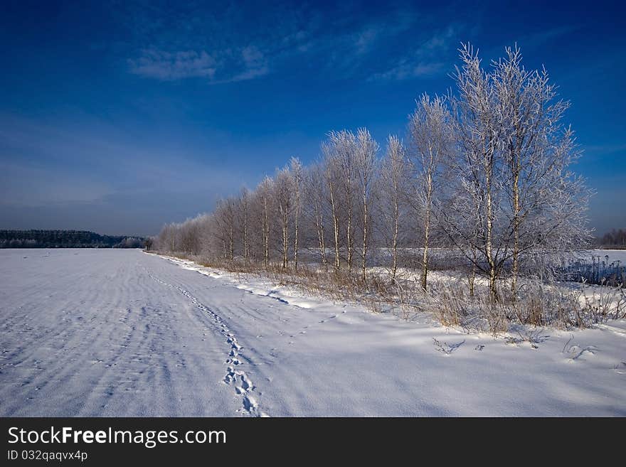 Winter scenery