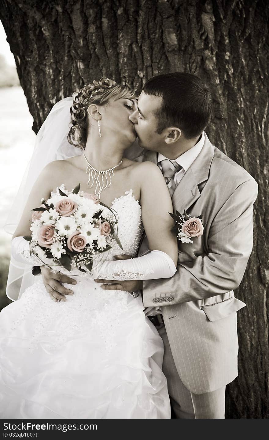 Two newlywed people kisses on a background of the tree trunk. Two newlywed people kisses on a background of the tree trunk