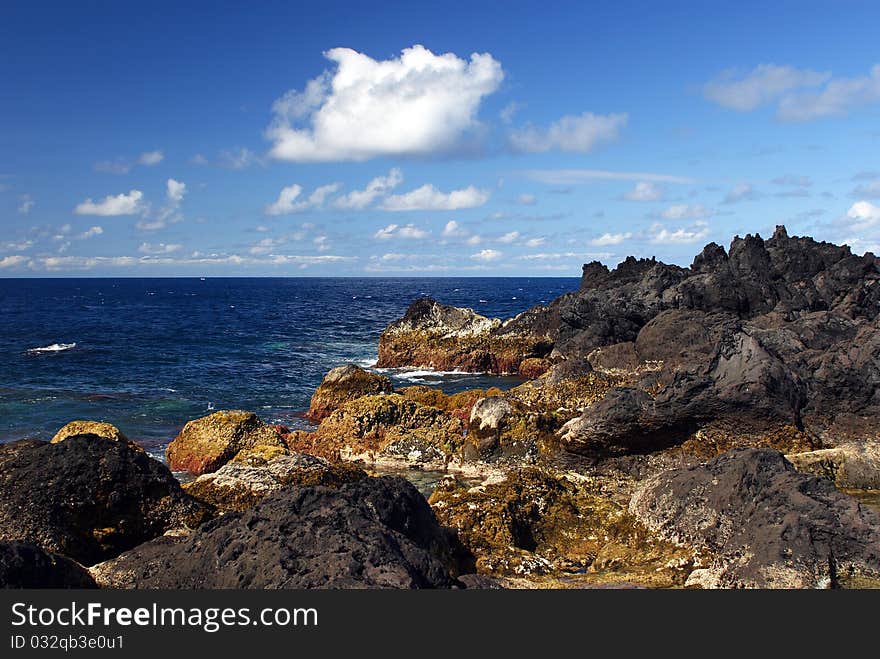 Rocky coast with moss with blue sky and clouds