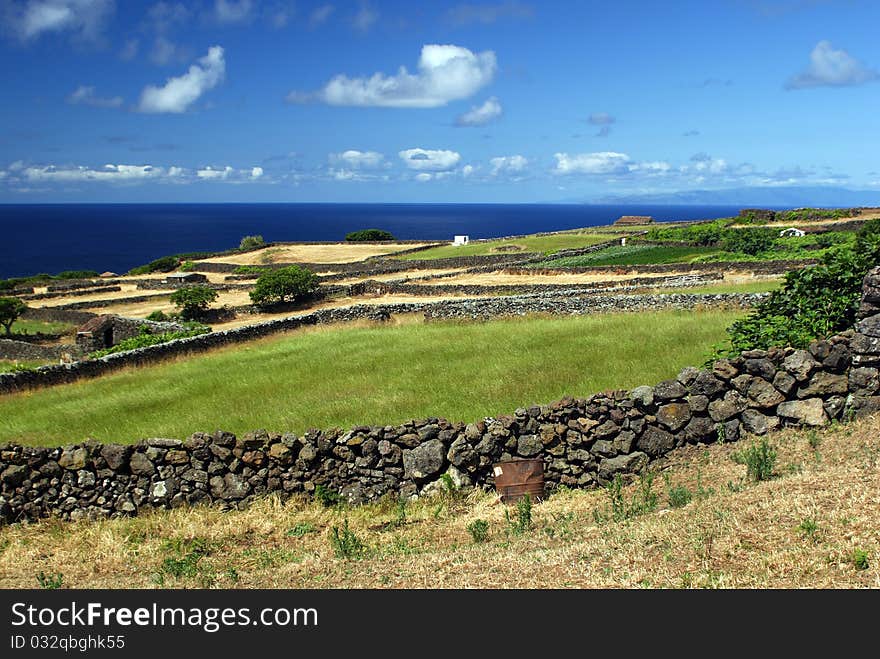 Fields on Sao Jorge island