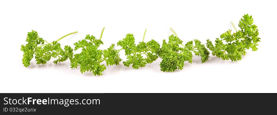 Isolated banches of parsley