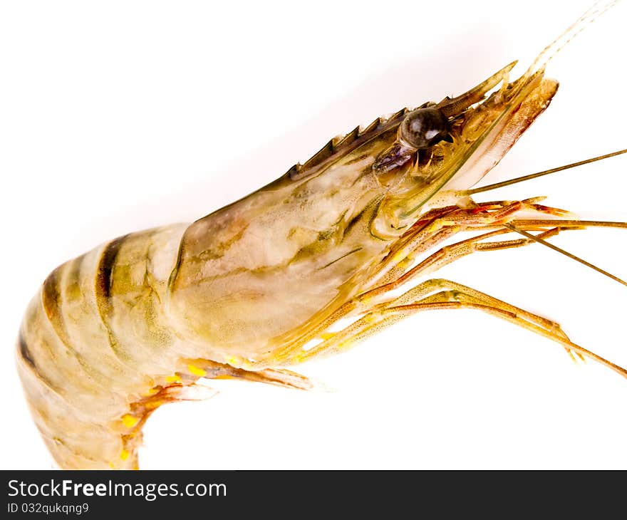 Fresh raw tiger prawn